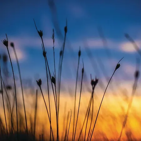 Holiday Apartment Privlaka 06 Apartment Privlaka (Zadar)